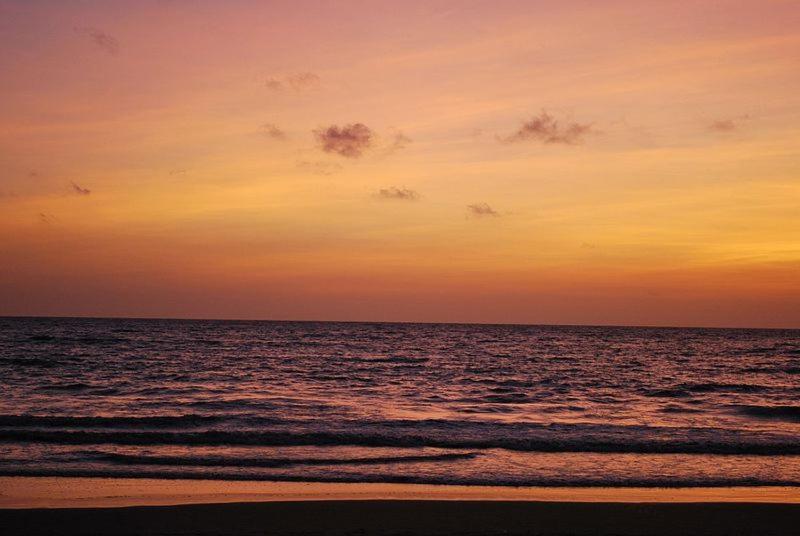 The Palm View Daman Ngoại thất bức ảnh